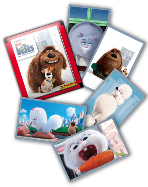 COMME DES BETES GENERAL.jpg