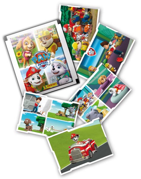 PAT PATROUILLE 2016 ANNEE GENERAL.jpg