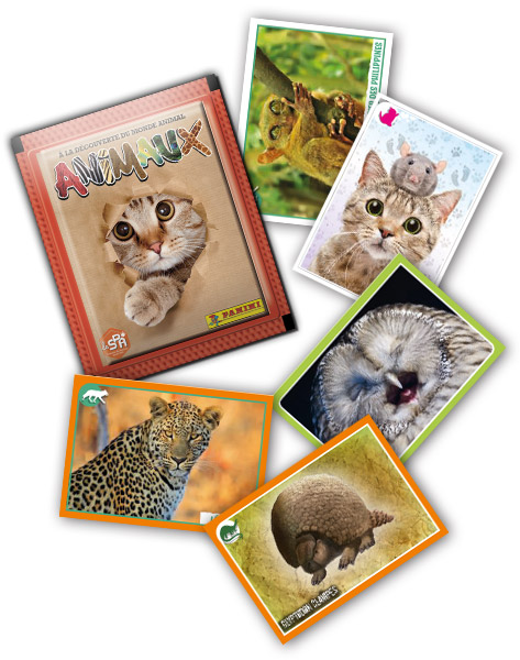 PANINI ANIMAUX 2019 GENERAL
