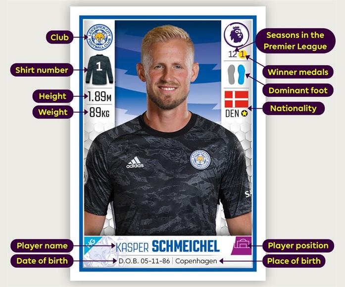 PANINI PREMIER LEAGUE 2020 STICKERS MODELE DE CARTE